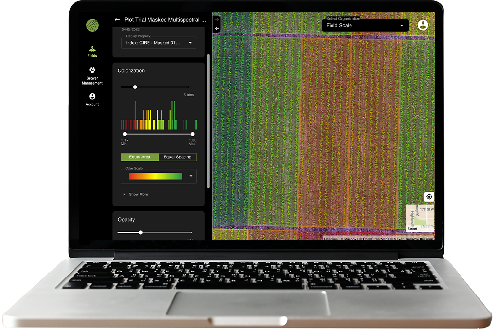 Plot Masked Multispectral Crop Health and Uniformity-image